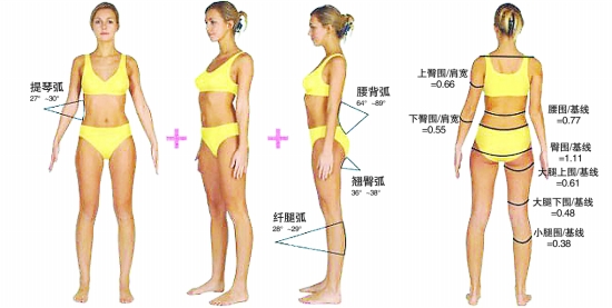 大家知道170女模特的标准三围是多少吗-身高170。标准三围应该是多少呢? _感人网