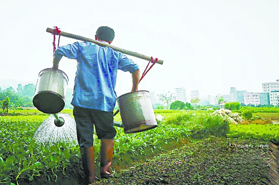 杀菌农药哪一种比较好 res01_attpic_brief.jpg