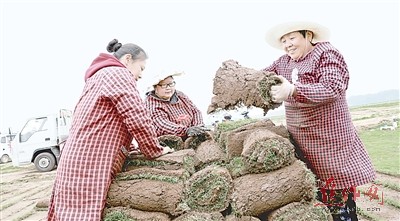 博爱金城人口_河源市博爱学校图片