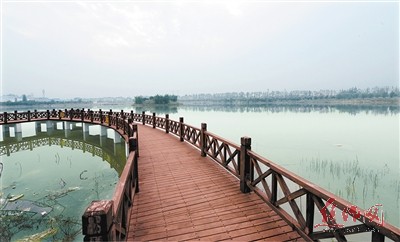 白鹭湿地公园一景