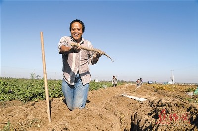 三农争光彩 笑傲华夏领新航