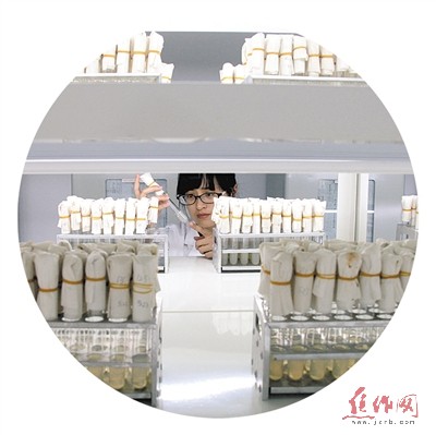 三农争光彩 笑傲华夏领新航