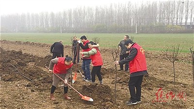 沁阳市紫陵镇各村GDP_地名文化 沁阳市紫陵村村名起源(2)