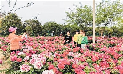 沁阳经济总量_沁阳七彩柱(3)